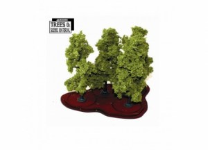 young-oakbeech-trees