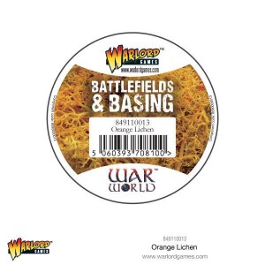 849110013-Orange-Lichen-01_grande